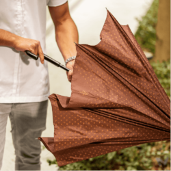 umbrella_03